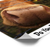 Vind je me A'MOO'zing? Poster (Hoek)