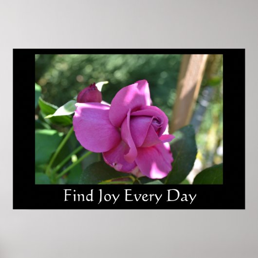 Vind Joy Roos Inspirerend Poster (Voorkant)