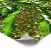 Vinden Poster (Hoek)