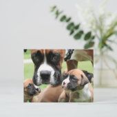 Vindy and Pups - Foto 09 Briefkaart (Staand voorkant)