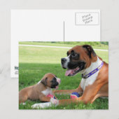 Vindy and Pups - Foto 95 Briefkaart (Voorkant / Achterkant)