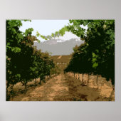 VINEYARD 3 POSTER (Voorkant)