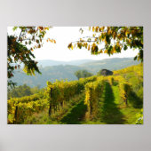Vineyard bij Krems Poster (Voorkant)