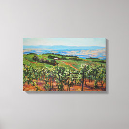 Vineyard Canvas Print