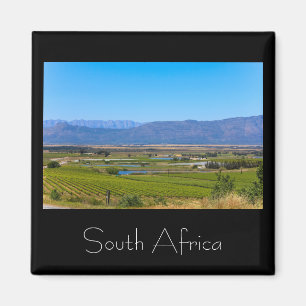 Vineyard Landscape South Africa SA Magnet Magneet