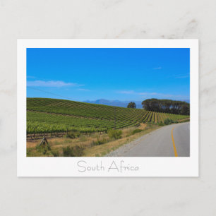 Vineyard Natuur Uitzicht South Africa SA Briefkaar Briefkaart