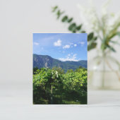 Vineyard Southern BC, Canada Briefkaart (Staand voorkant)