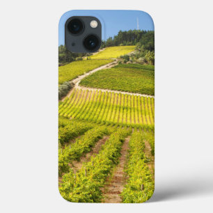 Vineyard, Stellenbosch, Westerne Kaapverdië iPhone 13 Hoesje