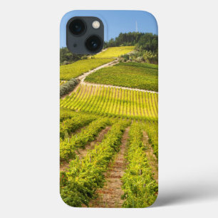 Vineyard, Stellenbosch, Westerne Kaapverdië iPhone 13 Hoesje