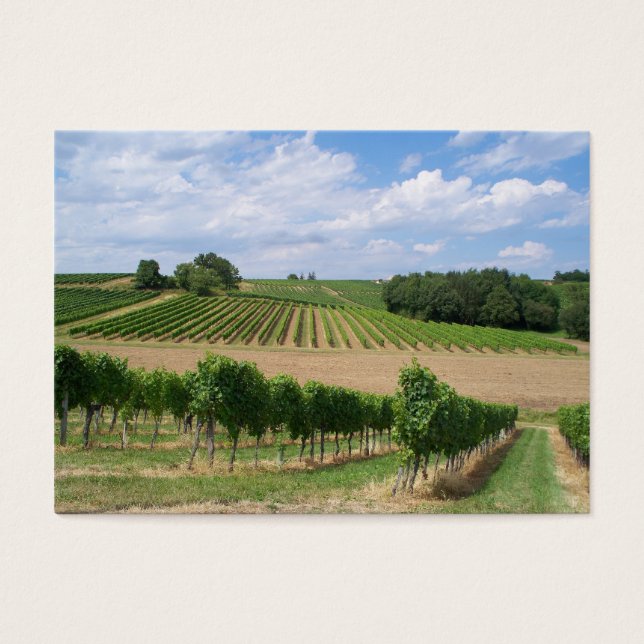 Vineyard - Vignoble (Bordeaux - Frankrijk) 04 Visitekaartje (Voorkant)