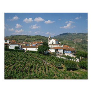 Vineyards, dorp San Miguel, Douro Foto Afdruk