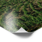 Vineyards, dorp San Miguel, Douro Foto Afdruk (Hoek)