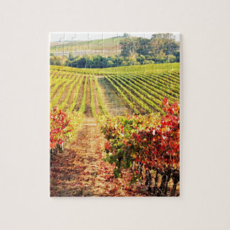 VINEYARDS.JPG LEGPUZZEL