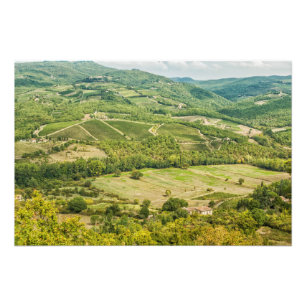 Vineyards landschappen in de ochtend in Chianti. Foto Afdruk