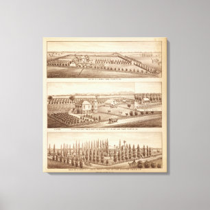 Vineyards, ranches, Tulare Co., Calif Canvas Afdruk