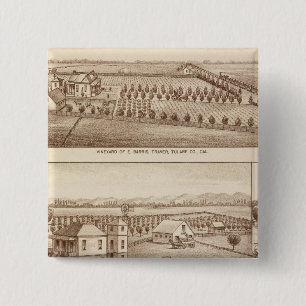 Vineyards, ranches, Tulare Co., Calif Vierkante Button 5,1 Cm