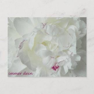 vingers: Immer dein Briefkaart