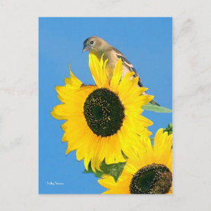 Vink en ventilator briefkaart