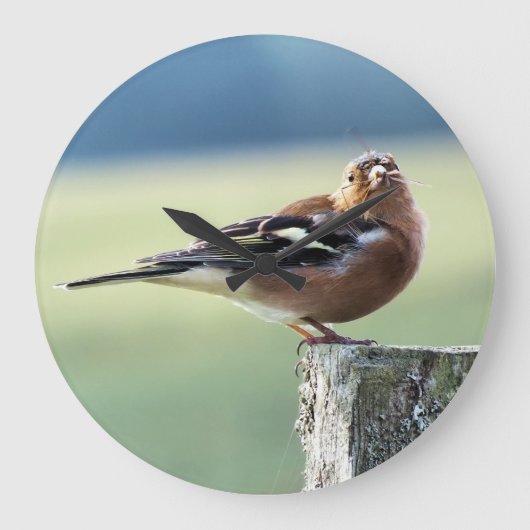VINK GROTE KLOK (Voorkant)