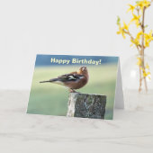 VINK KAART (Gele Bloem)