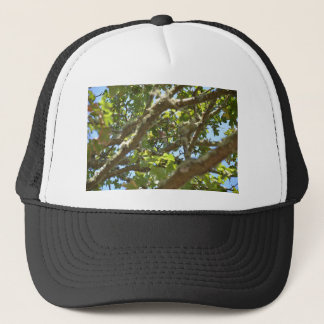 Vink Trucker Pet