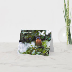 Vink vogel Wenskaart Bedankkaart