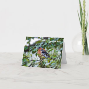 Vink vogel Wenskaart Bedankkaart