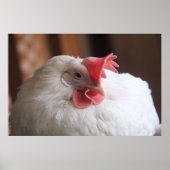 Vinnie Poster (Voorkant)