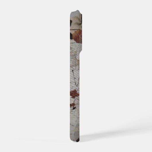 Vintage  (Côté droit)