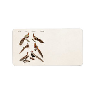Vintage 1700s fazant game Birds - fazante vogel Etiket