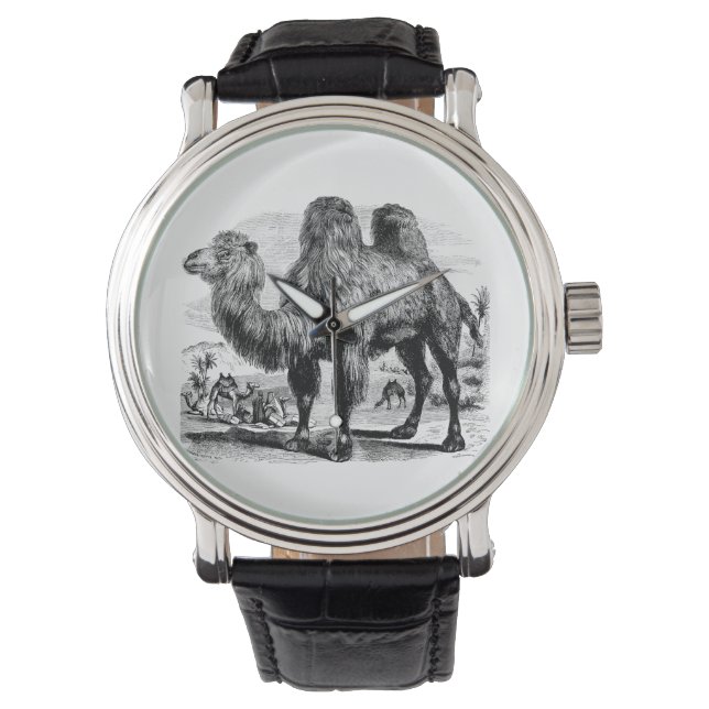 Vintage 1800 Camel - Egyptische Sjabloon van kamel Horloge (Voorkant)