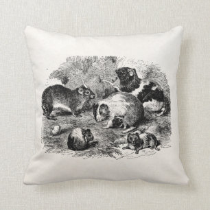 Vintage 1800-cavia's van het kruideniersras kussen