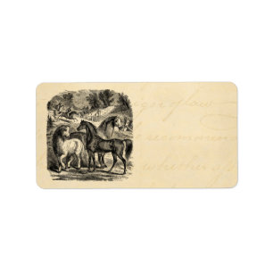 Vintage 1800 Paarden Arabian Cart Cossack Horse Etiket