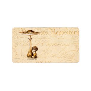 Vintage 1800: Paddenstoel Sjabloon Etiket