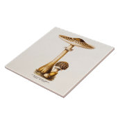 Vintage 1800: Paddenstoel Sjabloon Tegeltje (Zijkant)