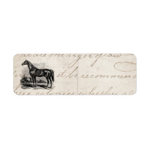 Vintage 1800 Race Horse Retro Thoroughbred Horses Etiket