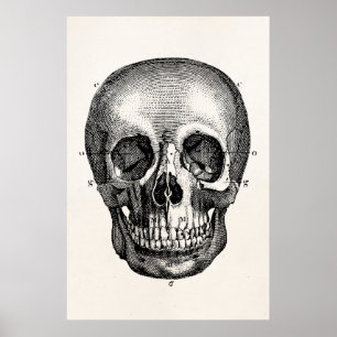 Vintage 1800 Skeletspieren Skelet Poster