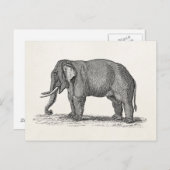 Vintage 1800s Elephant Illustration - Elephants Briefkaart (Voorkant / Achterkant)