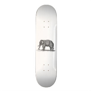 Vintage 1800s Elephant Illustration - Elephants Skateboard