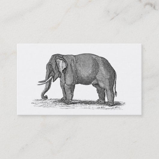 Vintage 1800s Elephant Illustration - Elephants Visitekaartje (Voorkant)