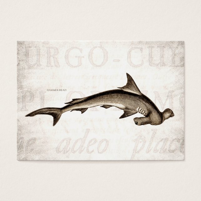 Vintage 1800s Hammerhead Shark Old Hammer Head (Devant)