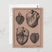 Vintage 1800s Hartretro hartanatomie harten Briefkaart (Voorkant / Achterkant)