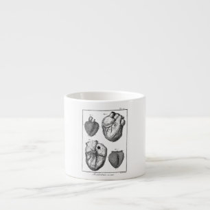 Vintage 1800s Hartretro hartanatomie harten Espresso Kop