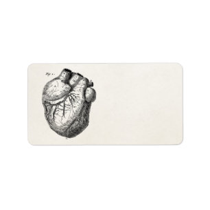 Vintage 1800s Hartretro hartanatomie harten Etiket