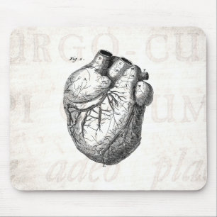 Vintage 1800s Hartretro hartanatomie harten Muismat
