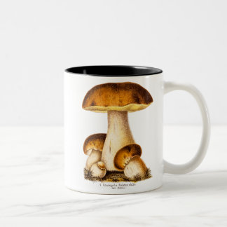 Vintage 1800s Paddenstoel Eetbare paddenstoelen Sj Tweekleurige Koffiemok