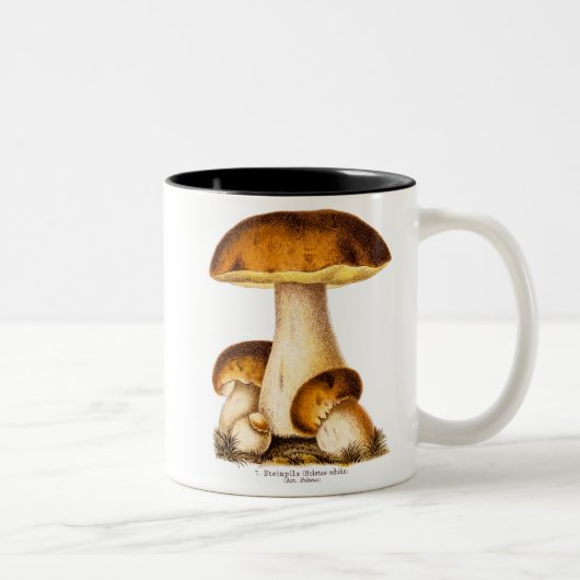 Vintage 1800s Paddenstoel Eetbare paddenstoelen Sj Tweekleurige Koffiemok (Rechts)
