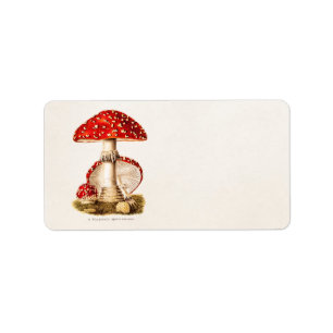 Vintage 1800s Paddenstoel Sjabloon Rode paddenstoe Etiket