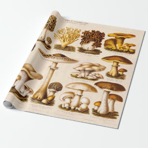 Vintage 1800s Paddenstoelenvariëteit Sjabloon Cadeaupapier