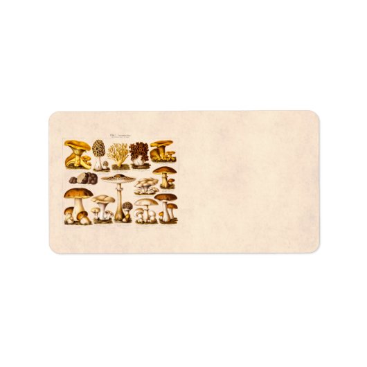 Vintage 1800s Paddenstoelenvariëteit Sjabloon Etiket (Voorkant)